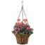 Deer Park Solera Hanging Basket With Coco Liner — thumbnail 1 of 2