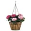 Deer Park Imperial Hanging Basket With Coco Liner — thumbnail 1 of 2