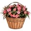 Deer Park 16" Daisy Ribbon Basket with Coco Liner — thumbnail 1 of 2