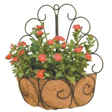 Deer Park Peacock Wall Basket With Coco Liner — photo 1 of 2