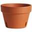 Deroma Orchid TC 5.3" Terra Cotta Clay Case Pack — thumbnail 1 of 2