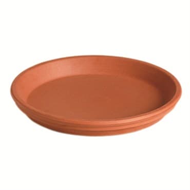 Deroma 4.3" Saucer Terra Cotta Clay Case Pack — photo 1 of 2
