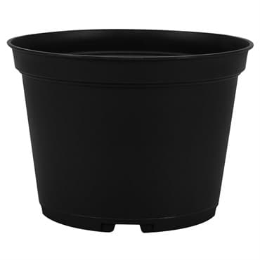Dillen AZA0650 06.50 Round Azalea Pot Black 438 Per Case 32 Cases Per Pallet — photo 1 of 2