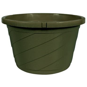DLN 10.00 EURO SL TS HB NO HGR GREEN 50/CS 50CS/PL Cap dish Optional — photo 1 of 2