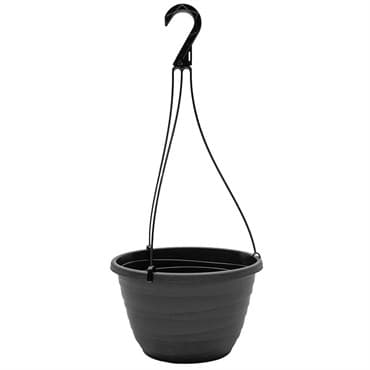 DILLEN 11.00 WRAPT HP BLACK 25/CS — photo 1 of 2