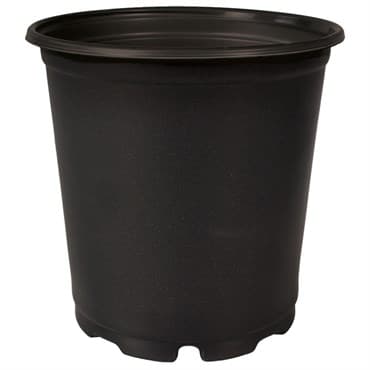 DLN TRADE 01.00GL SQUAT TL PRP COEX BLACK 140/CS 48CS/PL — photo 1 of 2