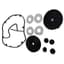 Danner Diaphragm Kit For AP100 — thumbnail 1 of 2
