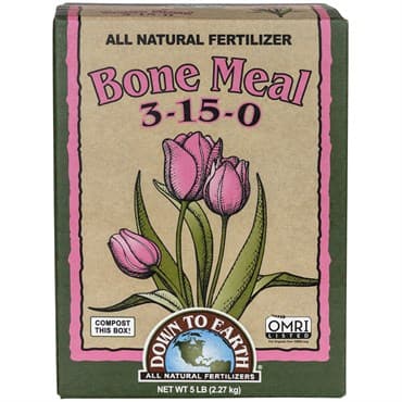 Down to Earth 5# Bone Meal 3-15-0 OMRI — photo 1 of 2
