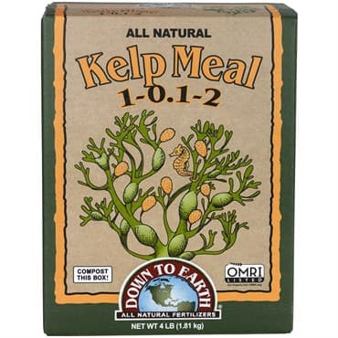 Down To Earth 4# Kelp Meal 1-0.1-2 — photo 1 of 2