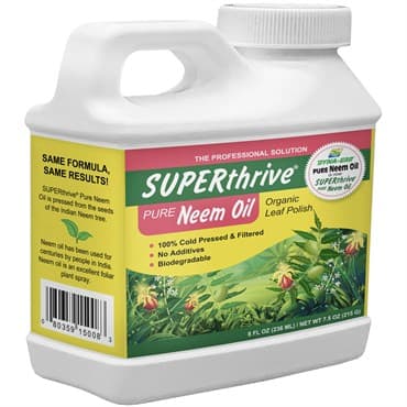 SUPERThrive 8oz Neem Oil Leaf Polish — photo 1 of 2