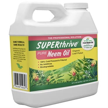 SUPERThrive 32oz Neem Oil Leaf Polish — photo 1 of 2