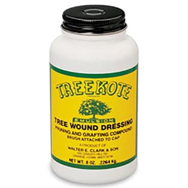 Treekote 8oz With Brush Top — photo 1 of 2
