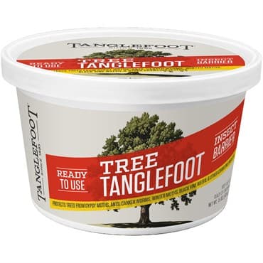 Tanglefoot 15oz Insect Barrier — photo 1 of 2