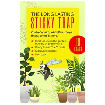 Enviro 10pk Long Lasting Sticky Traps — photo 1 of 2