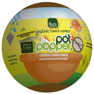 Enviro Pot Popper Organic Gnat Control — photo 1 of 2