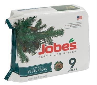 Jobes 9ct Evergreen Spikes — photo 1 of 2