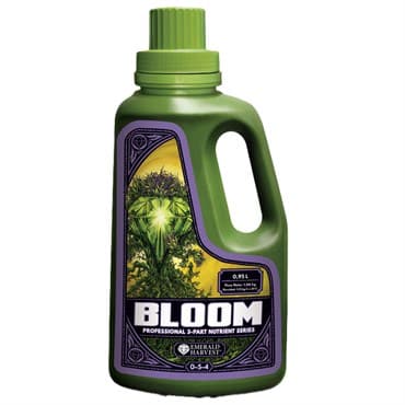 Emerald Harvest 1qt Bloom — photo 1 of 2