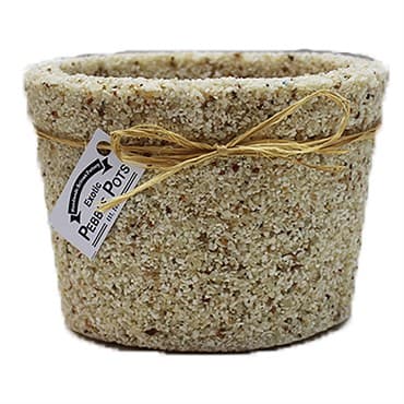 Exotic Pebbles Pots Alabaster 6" Cache — photo 1 of 2