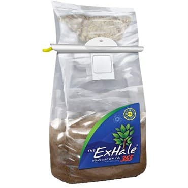 ExHale 365 6x9x8 Brown/White Media — photo 1 of 2