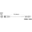 Fluence PSE1/Console DC Dimming Signal Cable, Pigtail to M16 Threaded Connector, 10" ( 254mm ) 10/CS — thumbnail 1 of 2