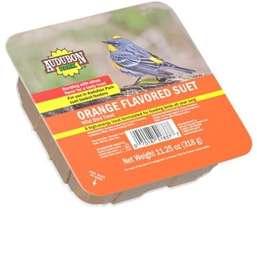 Audubon 11oz Orange Flavor Suet — photo 1 of 2
