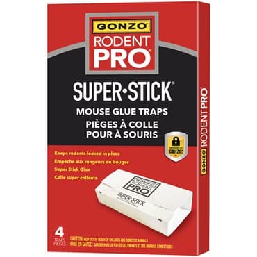 GONZO 4ct Rodent Pro Super Stick Mouse Trap — photo 1 of 2