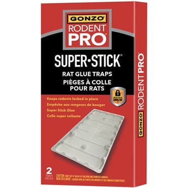 GONZO 2ct Rodent Pro Super Stick Rat Trap — photo 1 of 2