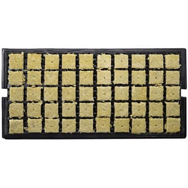 Grodan 1.5" AO Plugs w/Hole (1.4x1.4x1.9) -Tray (50 plugs/tray, 1500 plugs/carton) — photo 1 of 2