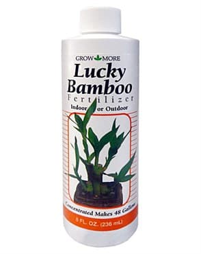 Grow More 8oz 2-2-2 Lucky Bamboo — photo 1 of 2