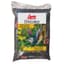 Lyric 10# Black Oil Sunflower — thumbnail 1 of 2