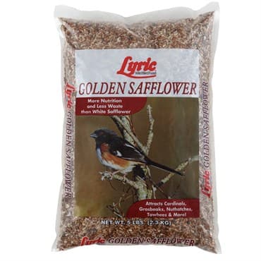 Lyric 5# Golden Safflower Seed — photo 1 of 2