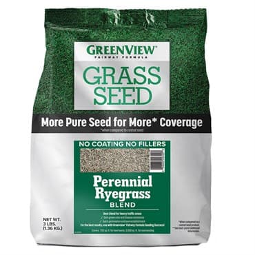 Greenview Fairway Formula 3# Perennial Rye Grass Seed — photo 1 of 2
