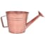 Grower Select 7.50 Watering Can Planter Copper 12/CS — thumbnail 1 of 2