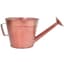 Grower Select 10.00 Watering Can Planter Copper 12/CS — thumbnail 1 of 2