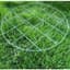 Gardener Select 16" Grow Thru Grid with 24" Legs — thumbnail 1 of 2