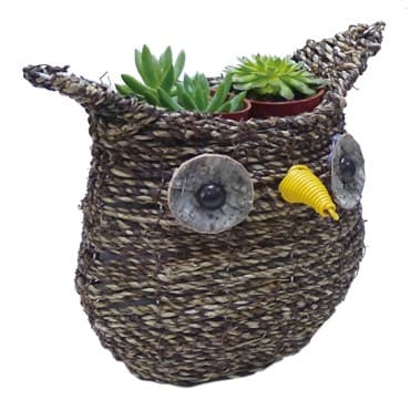 Gardener Select 9.5" Medium Owl Rattan Rope Topiary 12/CS — photo 1 of 2