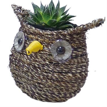 Gardener Select 7" Small Owl Rattan Rope Topiary 12/CS — photo 1 of 2