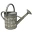 Gardener Select 3.5L .92G Watering Can Dragonfly Galvanized — thumbnail 1 of 2
