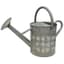 Gardener Select 7L 1.85G Watering Can Dragonfly Galvanized — thumbnail 1 of 2