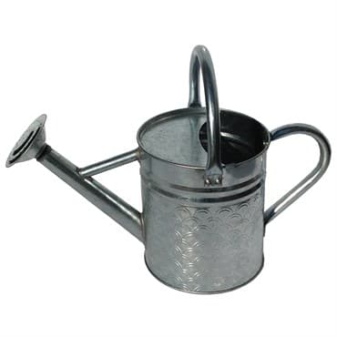 Gardener Select 2.4L .63G Watering Can Galvanized Finish Textured Pattern — photo 1 of 2