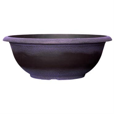 Grower Select 17.00 Sugar Sand Bowl Wisteria 3.3gal 50/CS - 16.9in OD X 6.3in H X 8.5in BD — photo 1 of 2