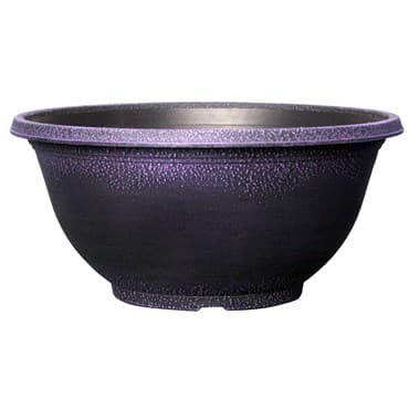 Grower Select 12.00 Sugar Sand Bowl Wisteria 1.6gal 51/CS - 12in OD X 5.5in H X 5.8in BD — photo 1 of 2