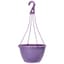 Grower Select 13.00 Everest Hanging Basket, With 18in Hanger, Blush Raisin, 64 per Case, 12.99in OD x 7.48in H, 2.8 Gallon — thumbnail 1 of 2