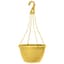 Grower Select 13.00 Everest Hanging Basket, With 18in Hanger, Blush Sunglow, 64 per Case, 12.99in OD x 7.48in H, 2.8 Gallon — thumbnail 1 of 2