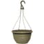 Grower Select 12.00 Boxwood Hanging Basket ACP Aged Cappuccino with Hanger 50/CS — thumbnail 1 of 2