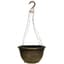 Grower Select 12.00 Boxwood Hanging Basket Mahogany with Hanger 50/CS — thumbnail 1 of 2