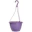 Grower Select 10.00 Everest Hanging Basket, With 18in Hanger, Blush Raisin, 70 per Case, 10.08in OD x 6.99in H, 1.5 Gallon — thumbnail 1 of 2