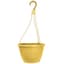 Grower Select 10.00 Everest Hanging Basket, With 18in Hanger, Blush Sunglow, 70 per Case, 10.08in OD x 6.99in H, 1.5 Gallon — thumbnail 1 of 2