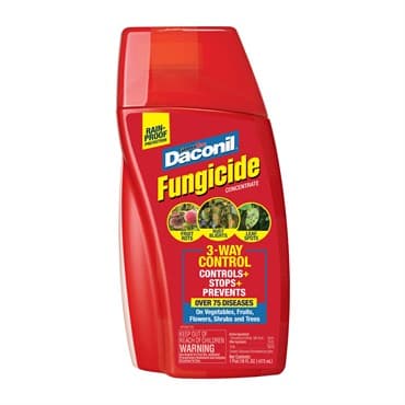 GardenTech 16oz Daconil Fungicide Concentrate — photo 1 of 2