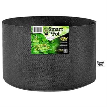 Smart Pot 7gal Black Bulk Box — photo 1 of 2